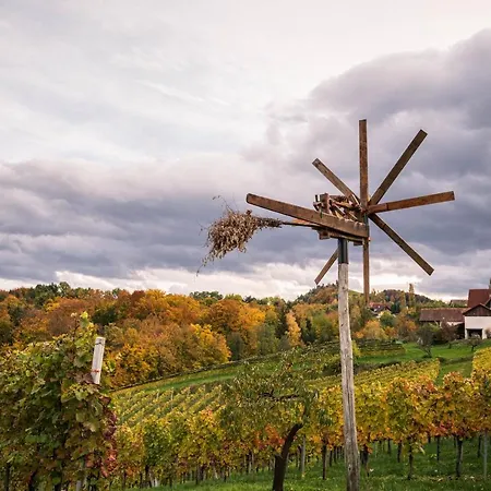 Weingut Leopold Dietrich Apartment *