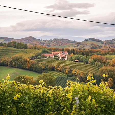 Weingut Leopold Dietrich Apartment *