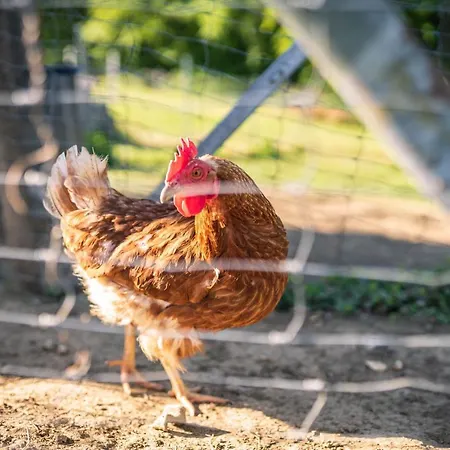 Weingut Leopold Dietrich * Gamlitz