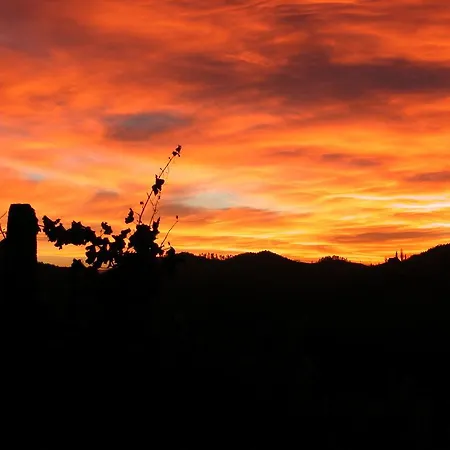 Weingut Leopold Dietrich * Gamlitz