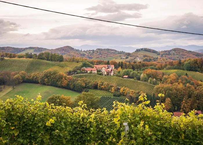 Weingut Leopold Dietrich Apartment *