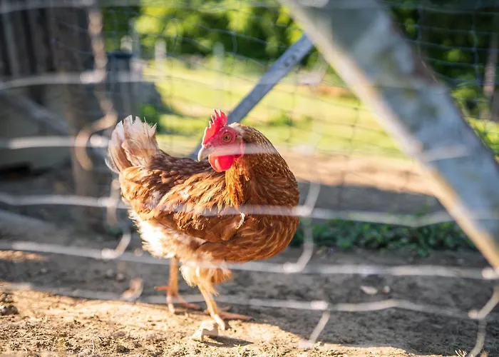 Weingut Leopold Dietrich * غامليتز