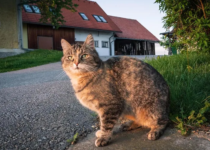 Apartment Weingut Leopold Dietrich Gamlitz
