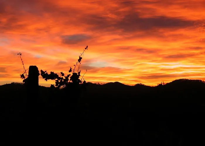 Weingut Leopold Dietrich * غامليتز